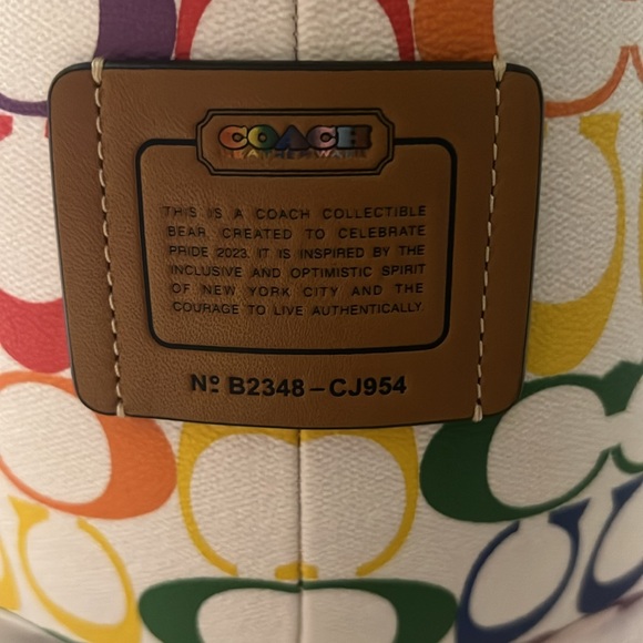 Huge Coach pride rainbow bear - Picture 2 of 3
